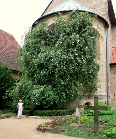 Hildesheim